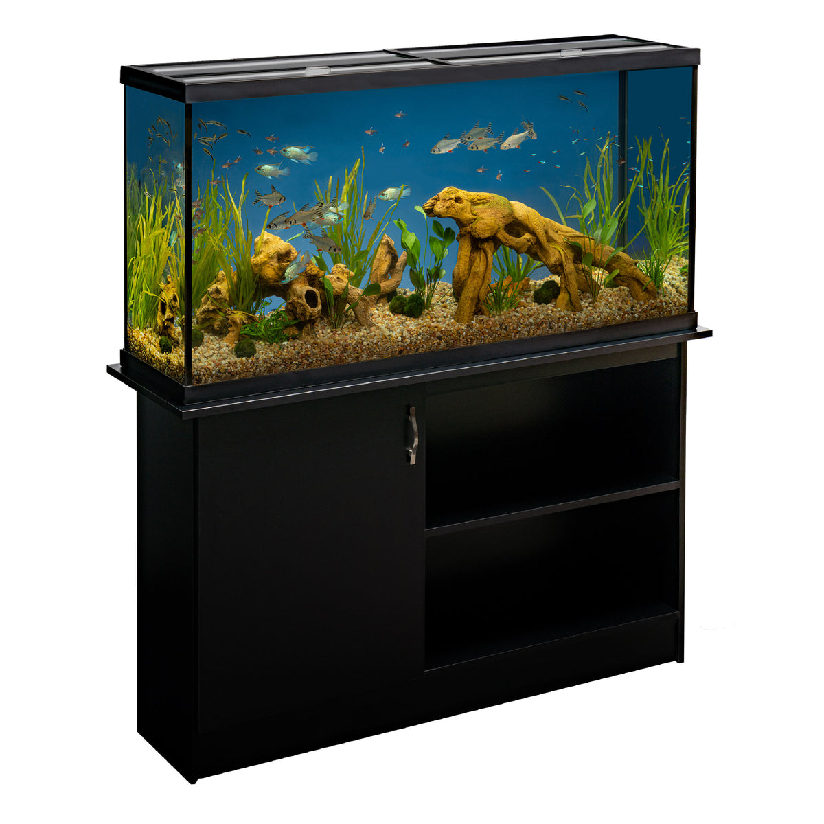 60 gallon planted aquarium supplier reference photo