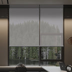 Aventus solar shades in office with natural daylight