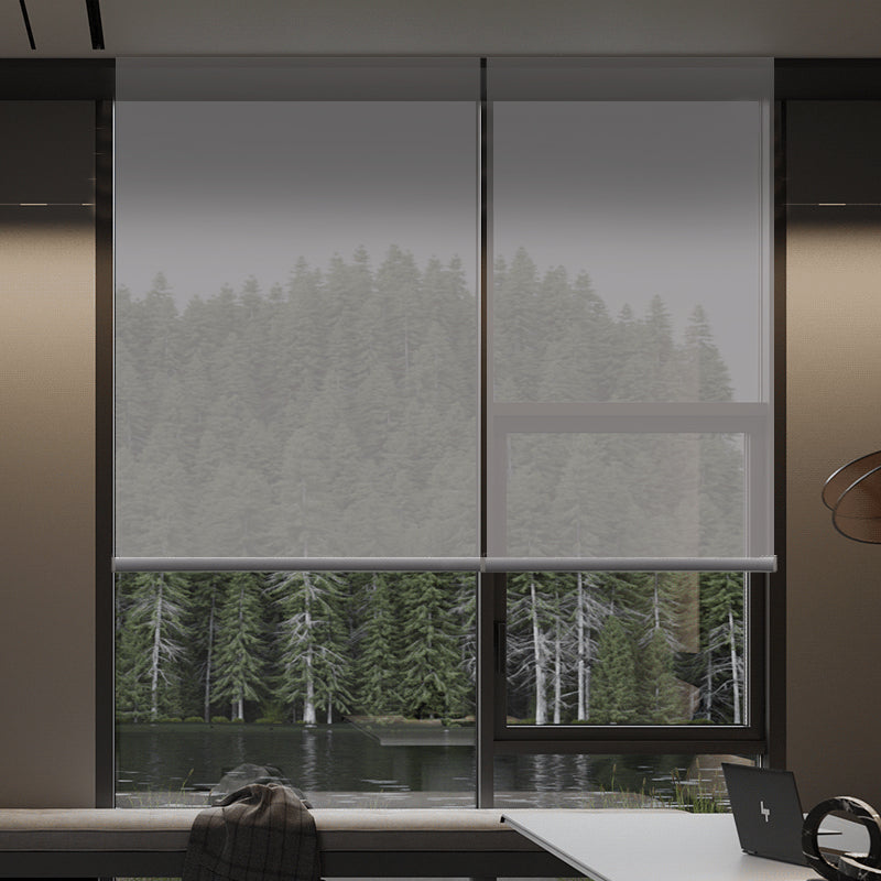 Aventus solar shades in office with natural daylight